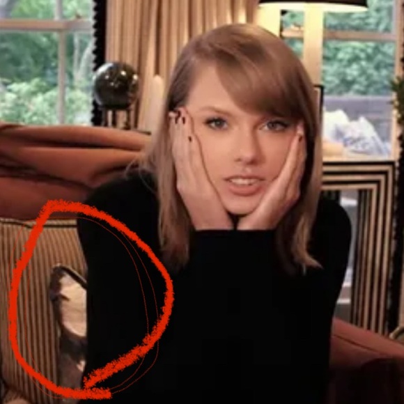 urban outfitters cat pillow - as seen in Taylor Swifts house - Picture 4 of 4